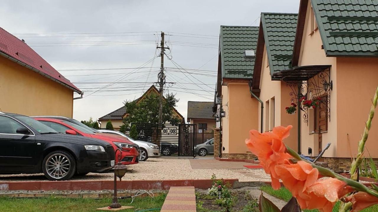 Pensiunea Brazi Турда Экстерьер фото