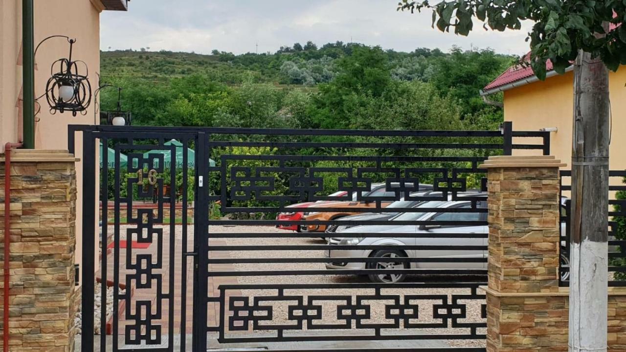 Pensiunea Brazi Турда Экстерьер фото